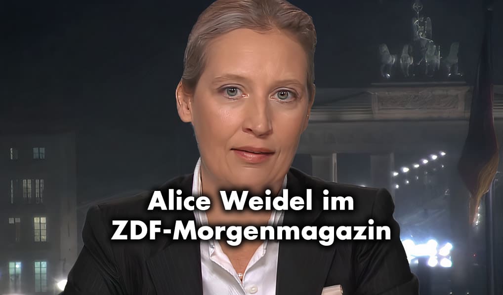 Im ZDF-Morgenmagazin: Weidel teilt gegen Bundesregierung aus