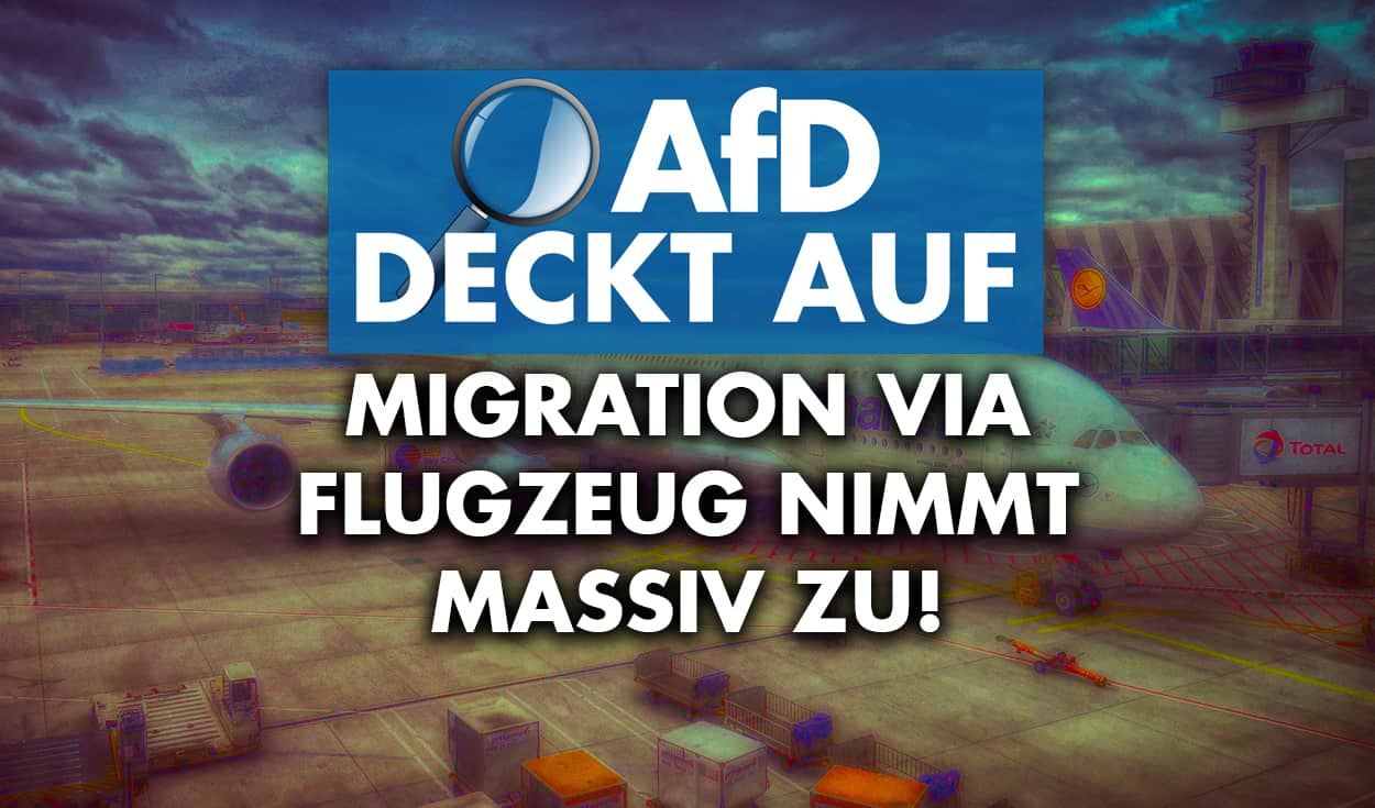 AfD deckt auf: Migration via Flugzeug nimmt massiv zu!