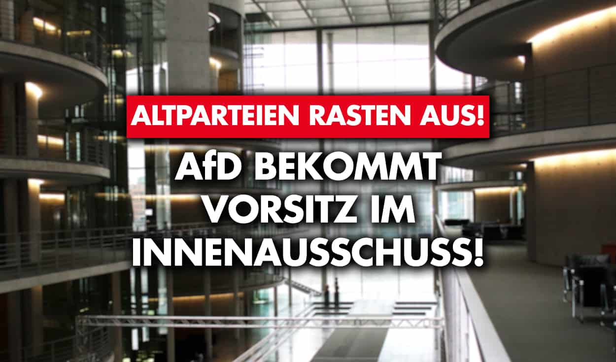 AfD bekommt Vorsitz im Innenausschuss! Altparteien rasten aus!