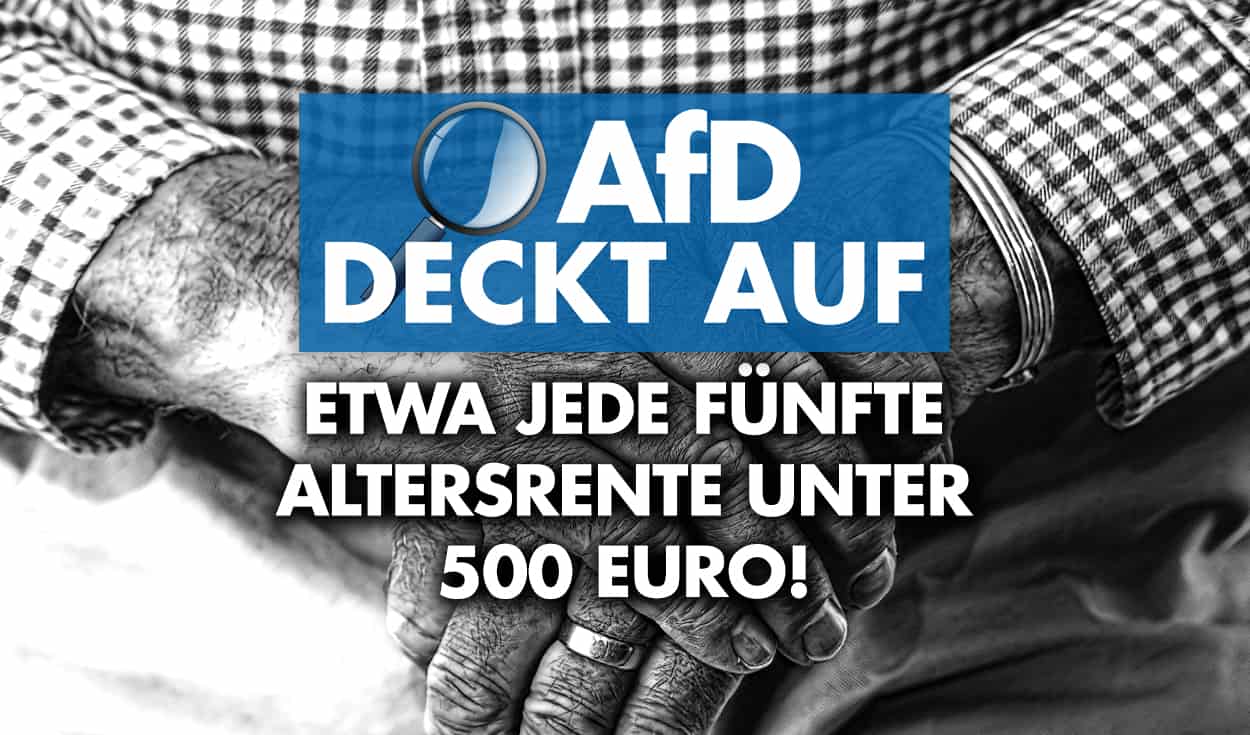 AfD deckt auf: Etwa jede fünfte Altersrente liegt unter 500 Euro!